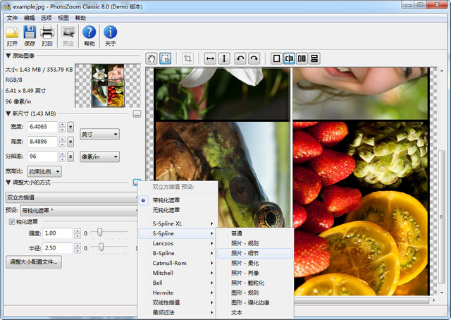 PhotoZoom Classic 8经典版