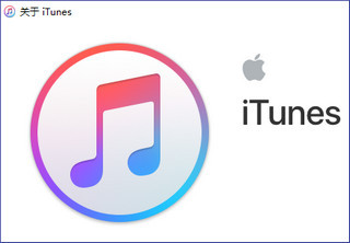 iTunes Win10 x64 12.11.3.17 兼容版软件截图