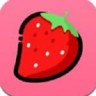 草莓短视频 3.29.01 最新版