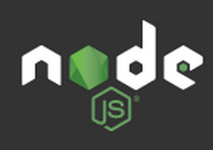 Node.js for Mac 12.18.1软件截图