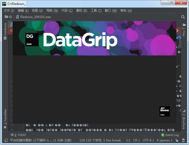 JetBrains DataGrip 2020汉化包 2020.1.1 第七独家汉化版