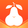 Pear雪梨 9.2.1 安卓版