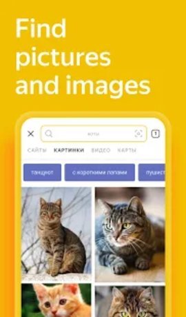 Yandex app