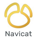 Navicat Premium 16 Pro专业版 16.0.7.0 中文版软件截图