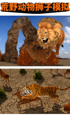 荒野动物狮子模拟手游