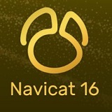 Navicat for MongoDB x64 16.1 汉化版