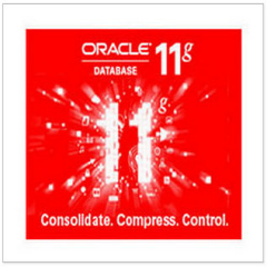 Oracle11g Client 64bit 11.2.0.4.0 64位版
