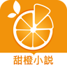 甜橙小说 1.0.12 安卓版