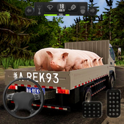 亚洲卡车模拟手游 1.3 安卓版