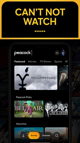 Peacock TV