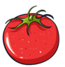 新番茄电视TV版 5.2.0 安卓版