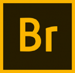 Adobe Bridge CC 2016乐声版 6.0.0.151 绿化版