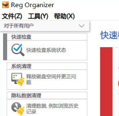 Reg Organizer2023 9.1.0.0 最新版软件截图