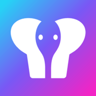 大象直播视频 1.3.0 安卓版