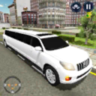 豪华轿车驾驶模拟器游戏 1.0 安卓版
