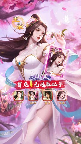 三国美人游戏