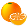 柑橘小说 1.1.5 安卓版