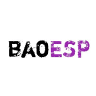 baoESP插件 2.1.8 安卓版游戏截图