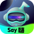 Say嗨元宇宙 1.0.2 安卓版软件截图