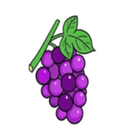 紫葡萄影院 2.1.0 官方版软件截图