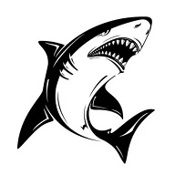 鲨鱼TV直播 5.2.1 安卓版软件截图
