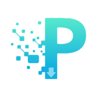 P2P下载器 1.1.9 最新版软件截图
