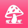 蘑菇赏 1.0.1 手机版