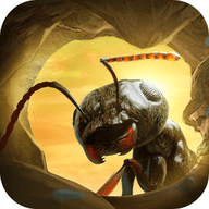 昆虫星球游戏 1.0.5 安卓版