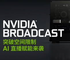 NVIDIA GeForce Win10 32bit 528.97软件截图