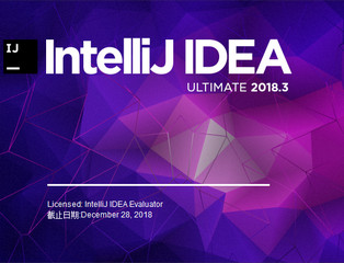 Jetbrains IntelliJ IDEA 2018中文版 2018.3.6 绿色版