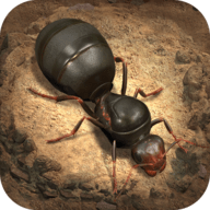 超能蚁团游戏 1.31.1.0 安卓版软件截图