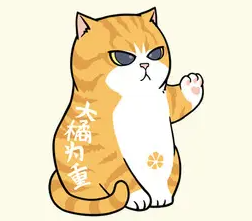 橘猫影视tv版