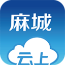 云上麻城 1.0.9 安卓版软件截图