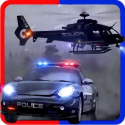 公路抓捕警察模拟游戏 1.14.2 安卓版软件截图