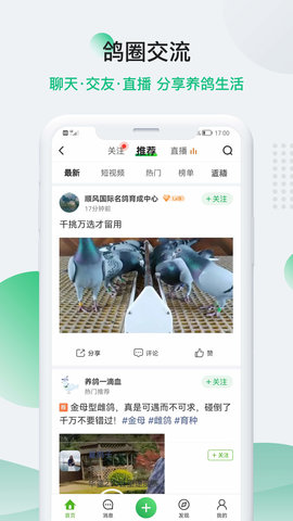 中国信鸽信息网