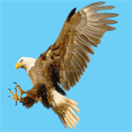 天天猎鹰 1.2.9.8 安卓版软件截图