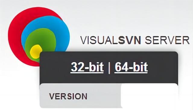 VisualSVN 64位中文版