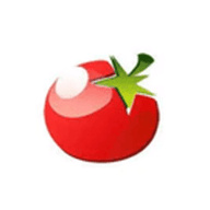 番茄小说免费版 1.1.1 安卓版软件截图