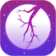 夜月直播App