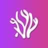 珊瑚视频纯净版App 4.6.1 免费版