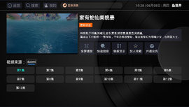 鱼视界tv版apk