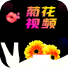 菊花视频视频juhuaa 3.8.2 安卓版