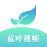 蓝叶短剧APP 1.1 安卓版