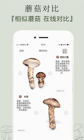 菌窝子识别菌子app