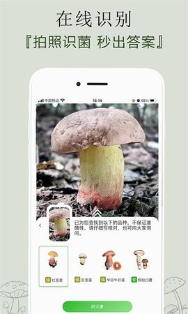 菌窝子识别菌子app