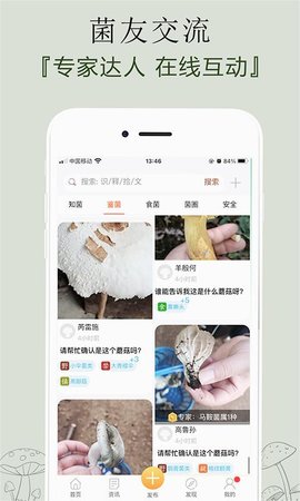 菌窝子识别菌子app