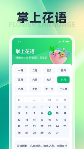 朝暮汇看APP