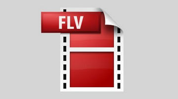 FLV播放器FLV文件转换器软件